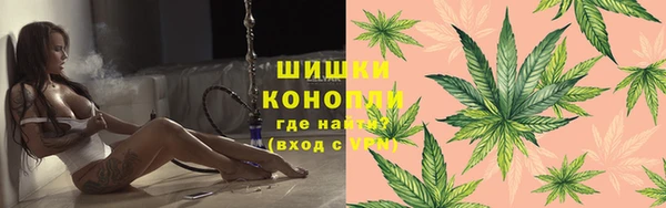 ПСИЛОЦИБИНОВЫЕ ГРИБЫ Аркадак