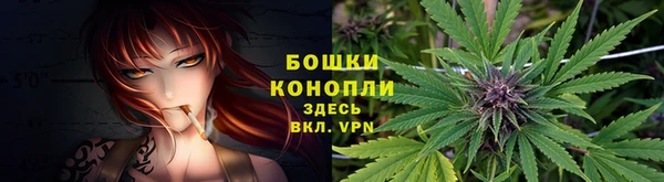 крисы Армянск
