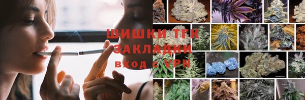 крисы Армянск