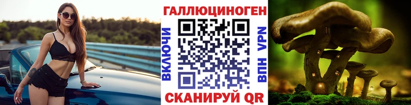Галлюциногенные грибы Cubensis  купить наркотики сайты  Саранск 