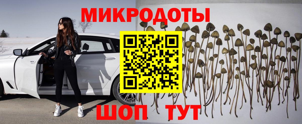 Саранск  Галлюциногенные грибы мухоморы  купить наркотики сайты  Вход с VPN 