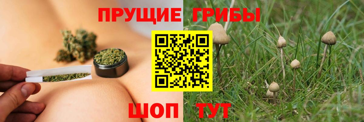Псилоцибиновые грибы прущие грибы Саранск