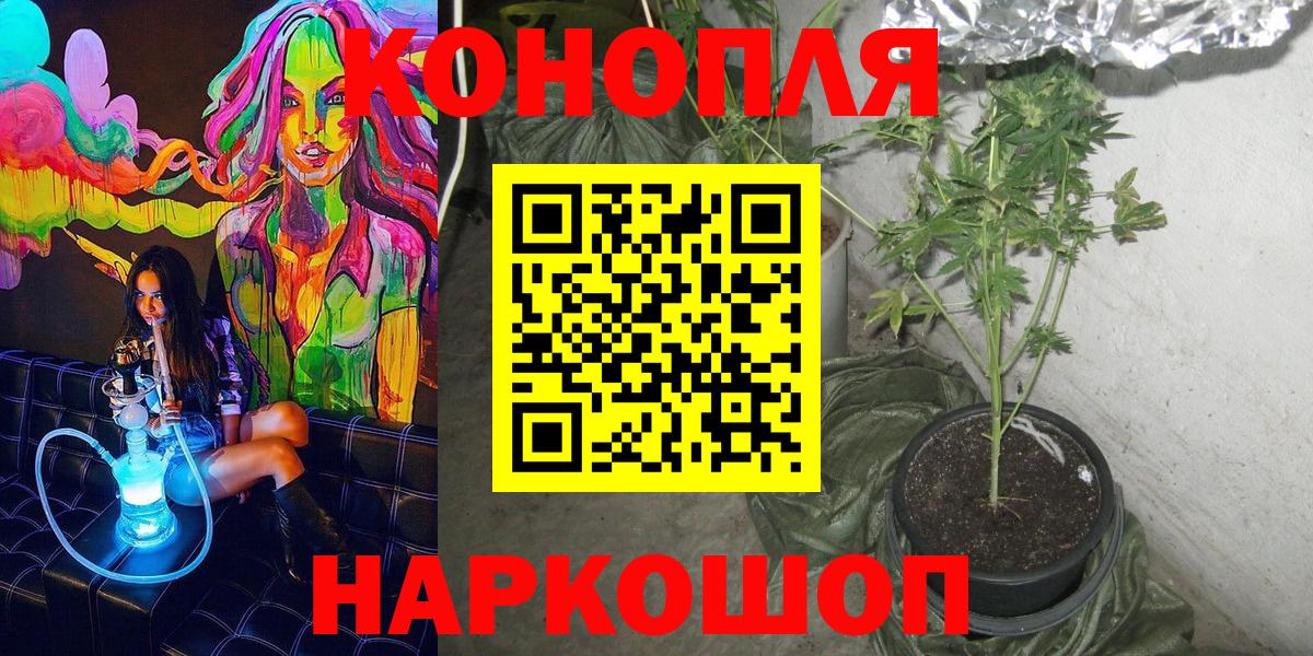 Бошки Шишки Ganja Саранск